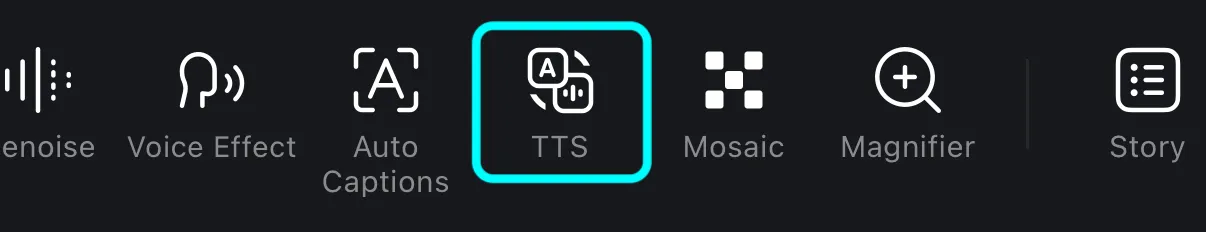 Tap and open the Text to Speech interface