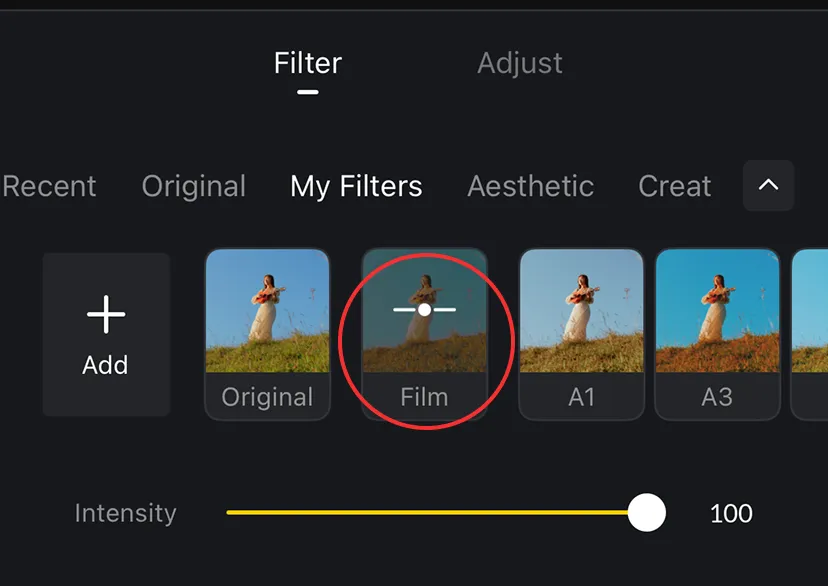 Ready Grading Presets List