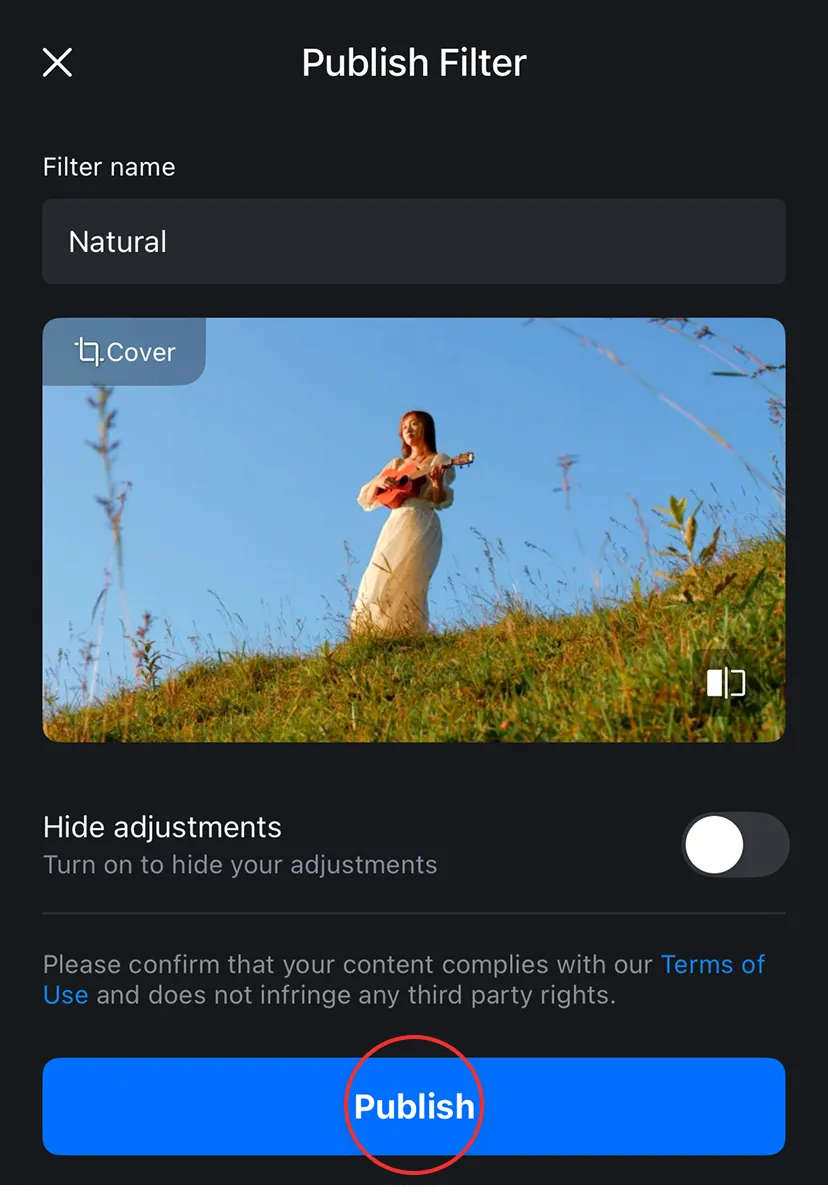 Preset Detail Properties Naming Box