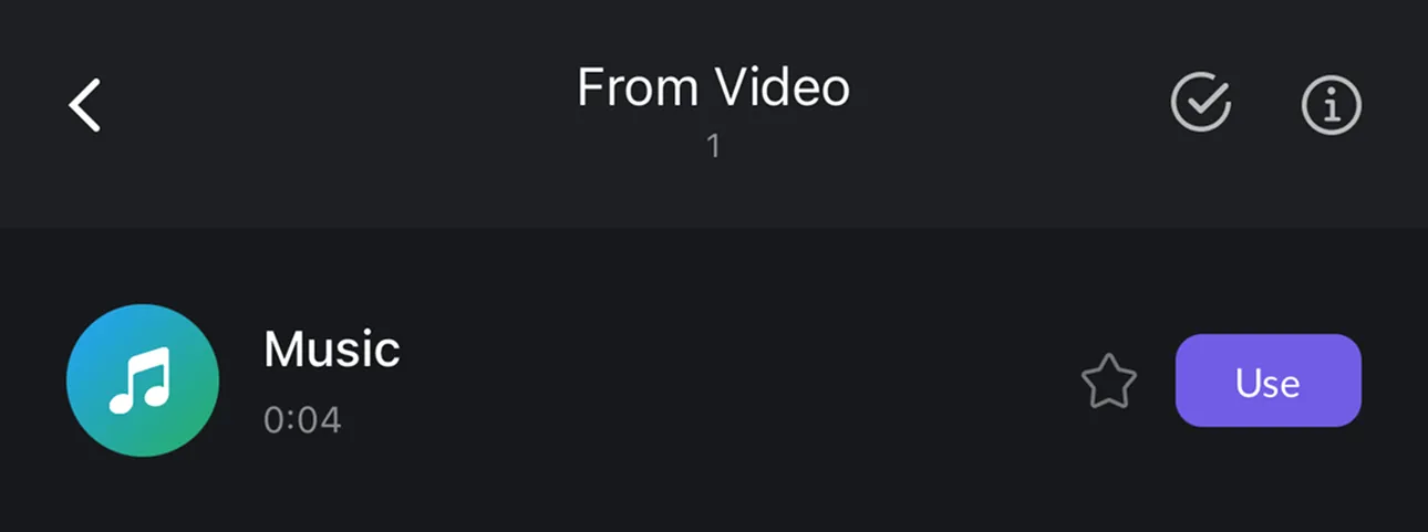 Confirm Final Audio Import