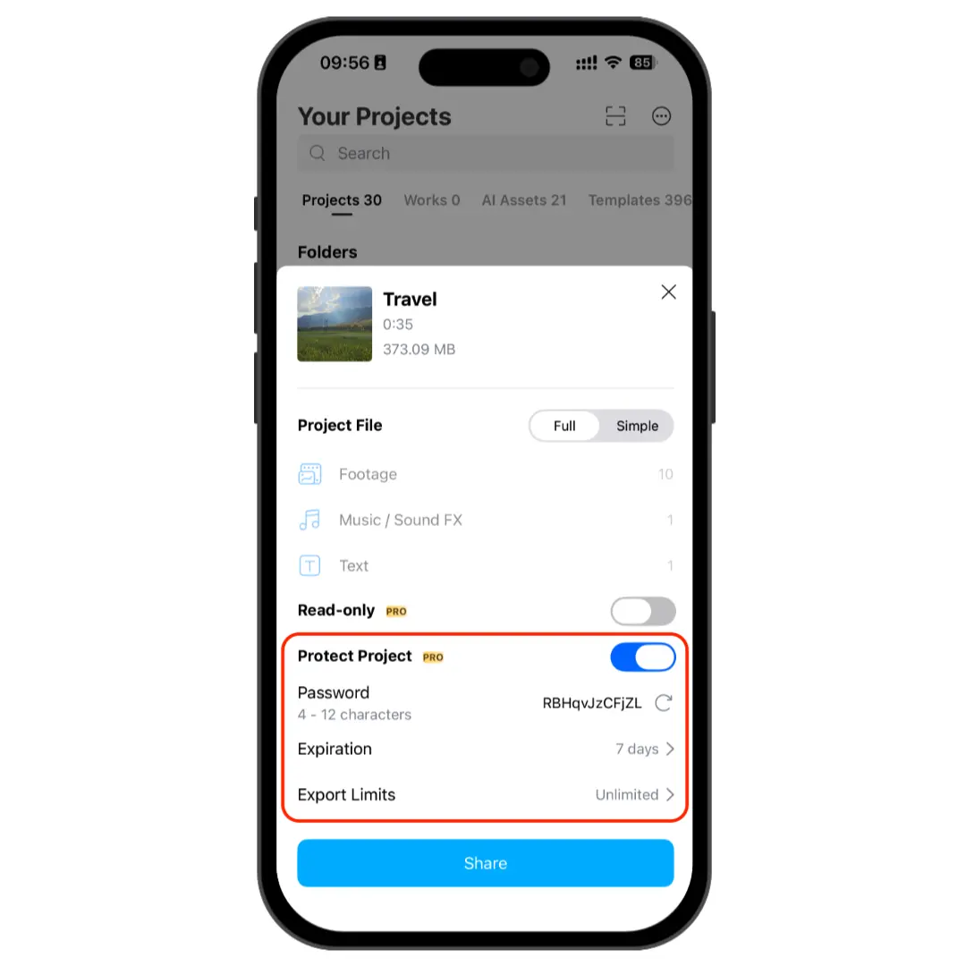 Turn on Protect Project and configure its access settings